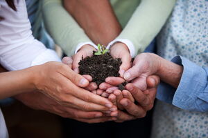 Hands with earth and seeds