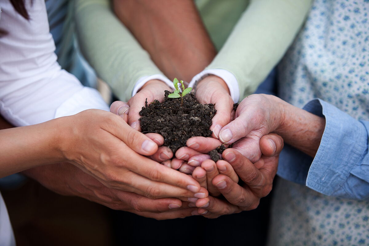 © Leaf / Can Stock Photo Hands with earth and seeds