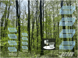 Rainfall measurement under vegetation. Eucor Seed Money project oberRAIN.