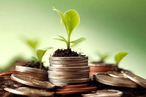 Une jeune pousse émerge d'une pile de pièces de monnaie.