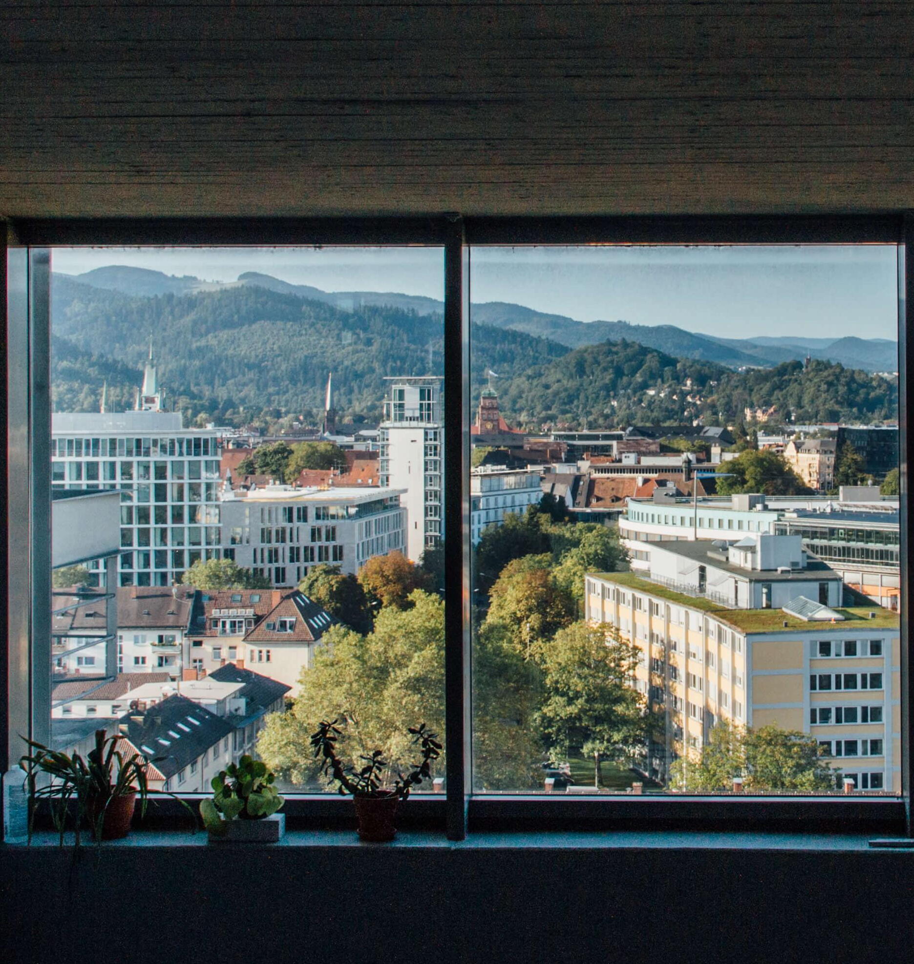 Aktuelle Informationen Blick aus dem Fenster