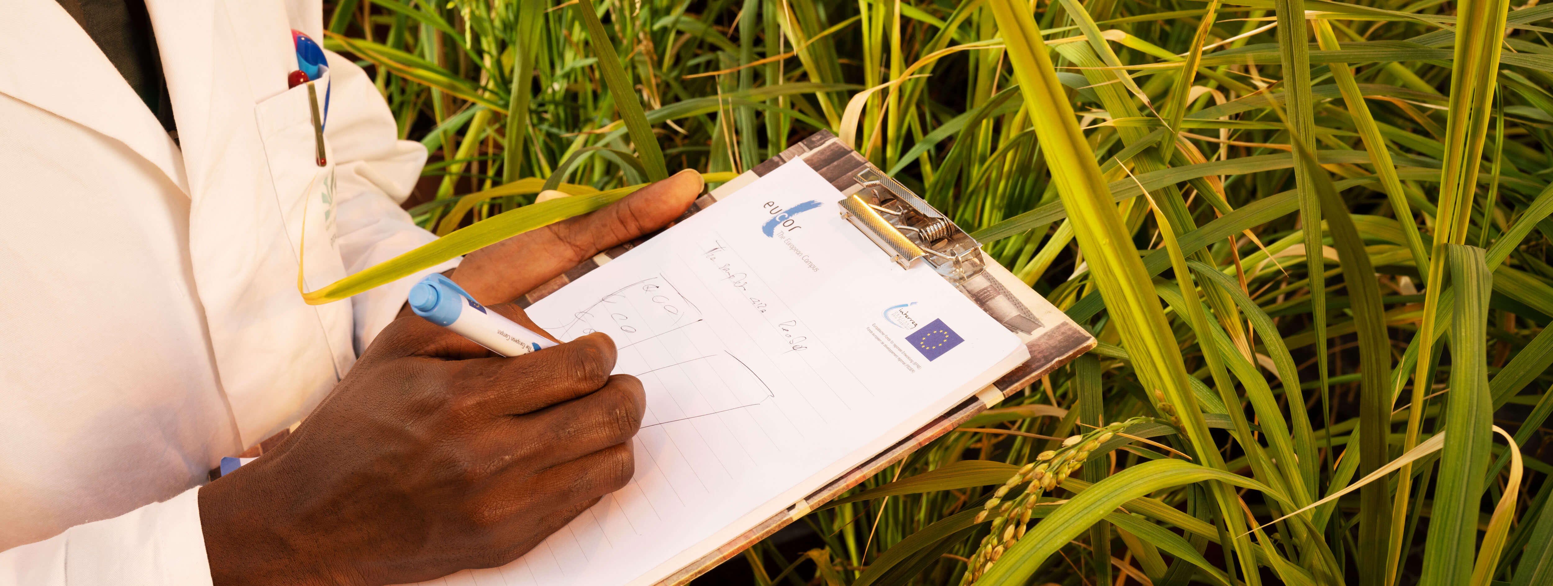 Practical information for researchers Person with clipboard and pen in hand