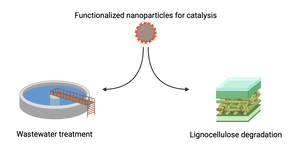 Using nanotechnology for wastewater treatment and biomass upcycling